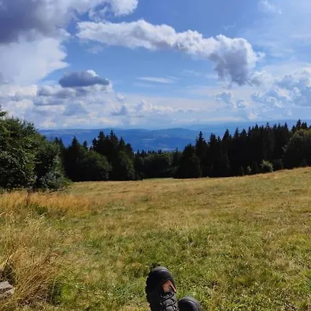 2 Na Polane Chalet *