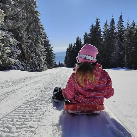 2 Na Polane Chalet Hriňová