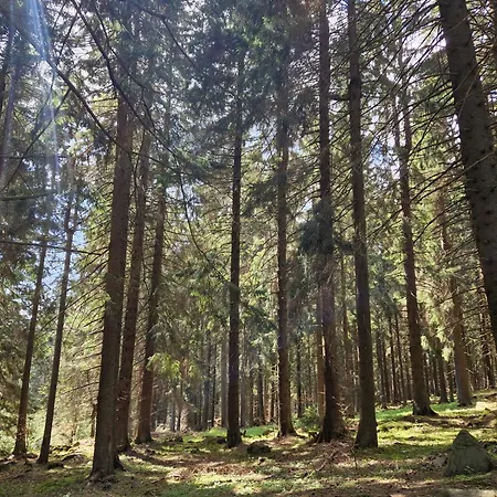 2 Na Polane * Hriňová