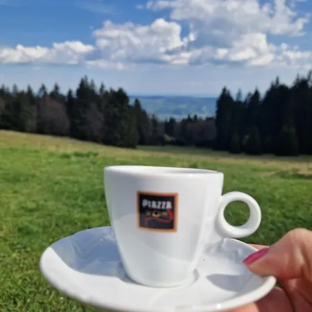 2 Na Polane Chalet