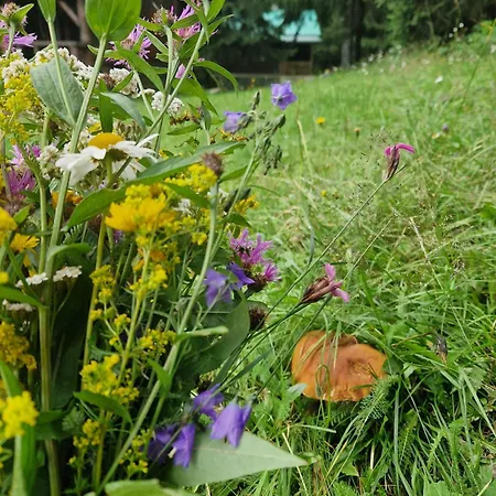 2 Na Polane Chalet Hriňová