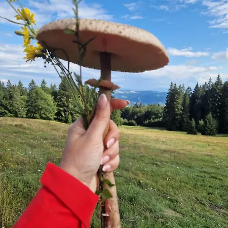 2 Na Polane * Hriňová