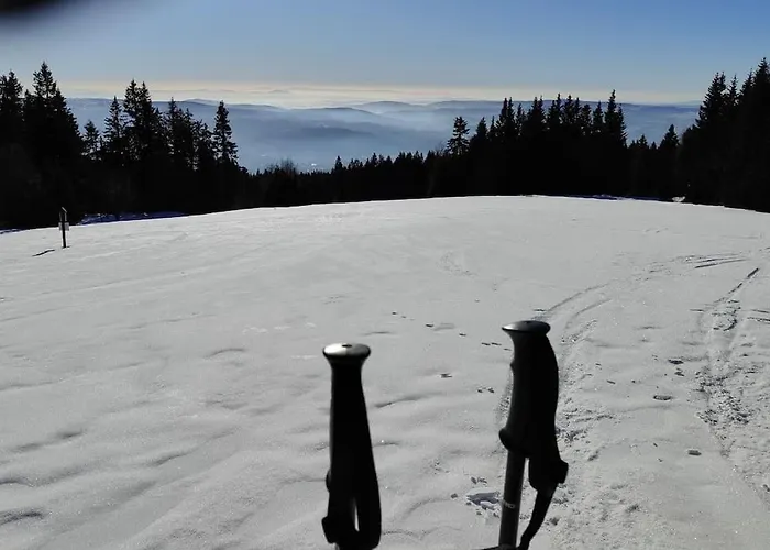 2 Na Polane Σαλέ