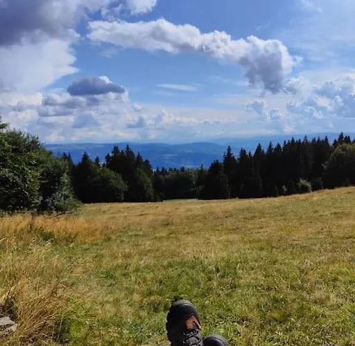 2 Na Polane Σαλέ *