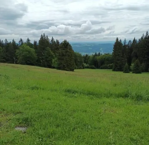 2 Na Polane Шале *