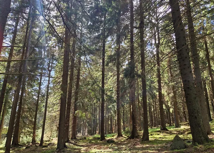 2 Na Polane * Hriňová