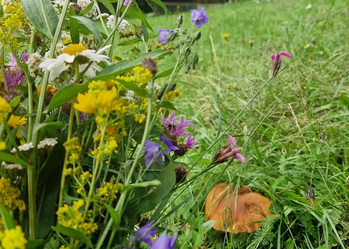 2 Na Polane Шале Hrinova