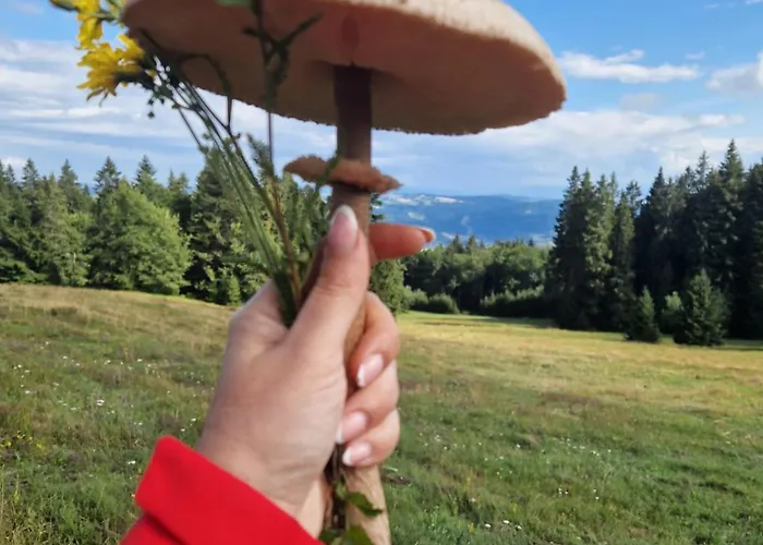 2 Na Polane * Hriňová